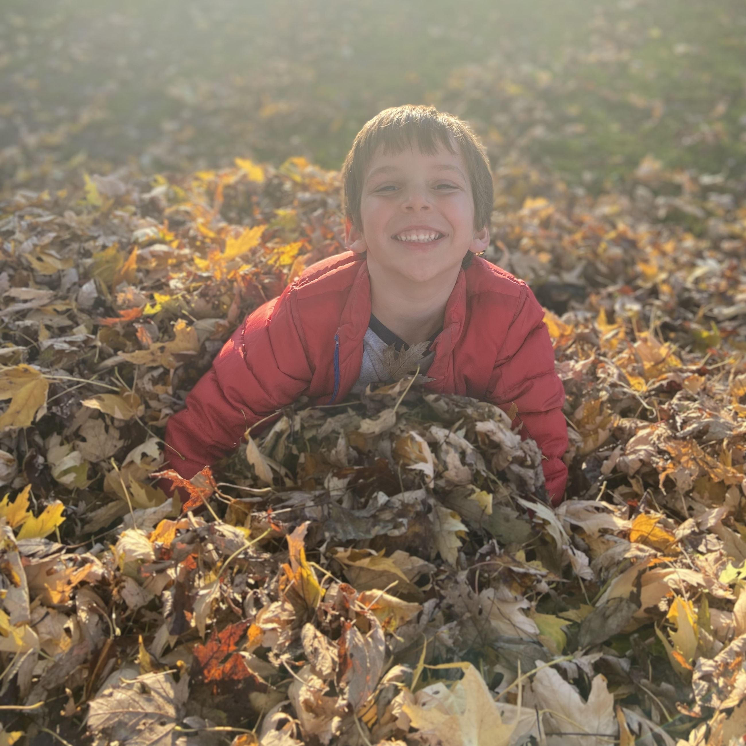 Leaf Pile 6