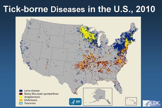Tick-Borne Diseases